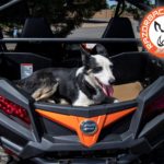 Razorback Offroad Heat shiled is Pet Safe